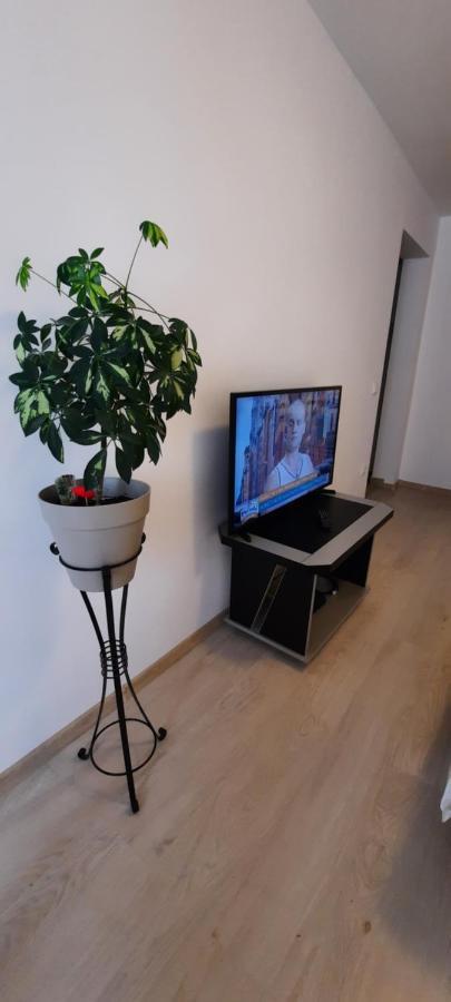 클루지나포카 Farmec Studio 아파트 외부 사진